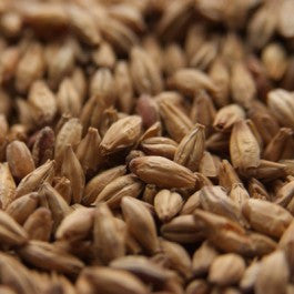 Dingemans Aromatic (Kiln 50) 1lb