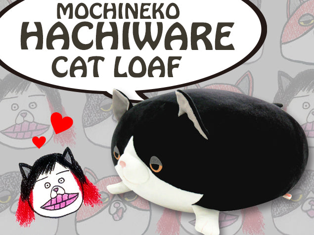 mochineko cat