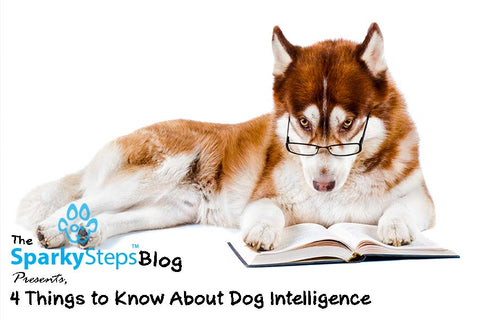 Sparky Steps - 4 Things to Know About Dog Intelligence