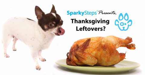 Sparky Steps - Leftovers Your Pets Can (and Can’t) Eat