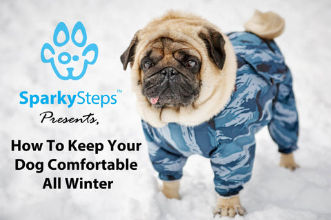 Sparky Steps - How to Keep Your Dog Comfortable All Winter