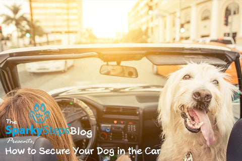 Sparky Steps - How to Secure Your Dog in the Car