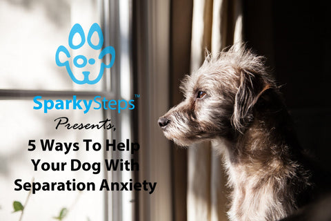 Sparky Steps - 5 Ways to Help Your Dog With Separation Anxiety