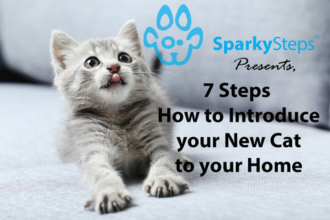 Sparky Steps - How to Introduce a Cat to a New Home
