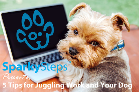 Sparky Steps - 5 Tips for Juggling Work and Your Dog