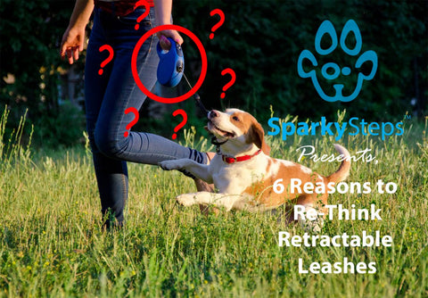 Sparky Steps - Six Reasons to Re-Think Retractable Leashes