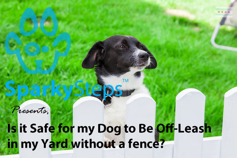 Sparky Steps - Is it Safe for my Dog to Be Off-Leash in my Yard without a fence?