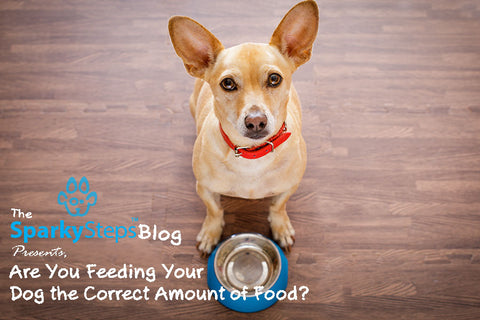 Sparky Steps - Are You Feeding Your Dog the Correct Amount of Food?