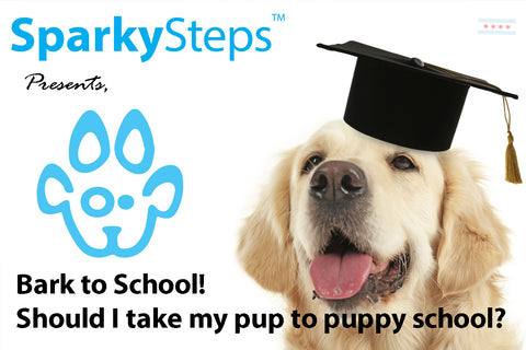 Sparky Steps - Back to School