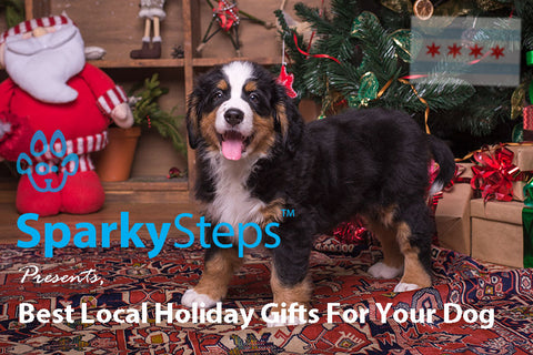 Sparky Steps - Best Local Holiday Gifts For Your Dog