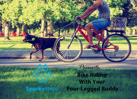 Sparky Steps - Bike Riding With Your Four-Legged Buddy