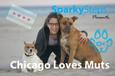 Sparky Steps - Chicago's Top Dog Breeds