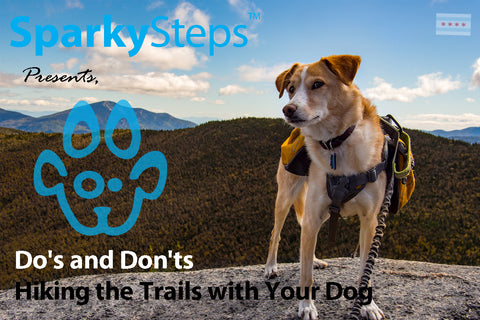Sparky Steps - Do's and Don'ts of Hiking the Trails with Your Dog