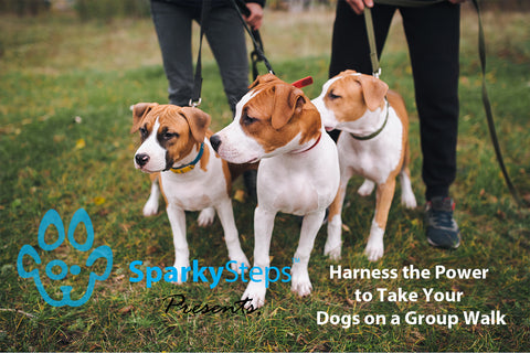 Sparky Steps - Harness the Power to Take Your Dogs on a Group Walk
