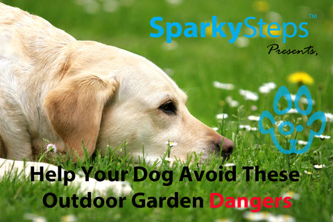 Sparky Steps - Help Your Dog Avoid These Outdoor Garden Dangers