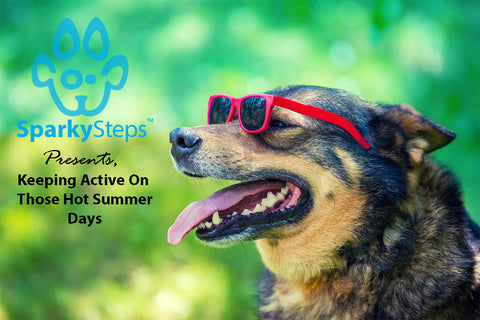 Sparky Steps - Too Hot For a Walk? How to Keep Your Dog Active on Blazing Hot Summer Days