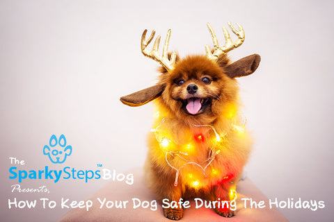 Sparky Steps - How To Keep Your Dog Safe During The Holidays