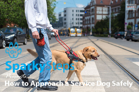 Sparky Steps - How to Approach a Service Dog Safely