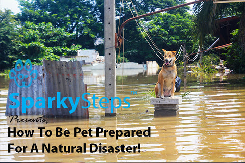 Sparky Steps - How to Be Pet Prepared for a Natural Disaster