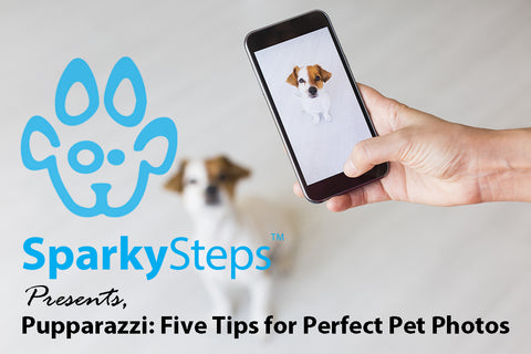 Sparky Steps - Pupparazzi: Five Tips for Perfect Pet Photos