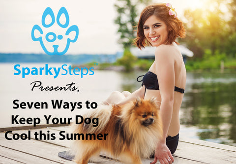 Sparky Steps - Seven Ways to Keep Your Dog Cool this Summer