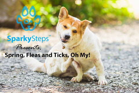 Sparky Steps - Spring, Fleas and Ticks, Oh My!