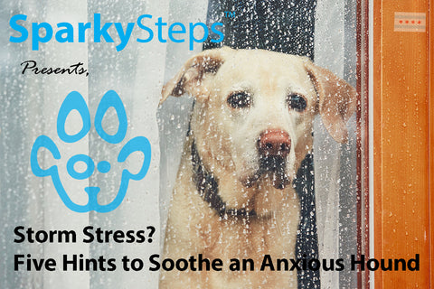 Sparky Steps - Storm Stress? Five Hints to Soothe an Anxious Hound