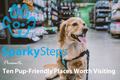 Sparky Steps - Ten Pup-Friendly Places Worth Visiting