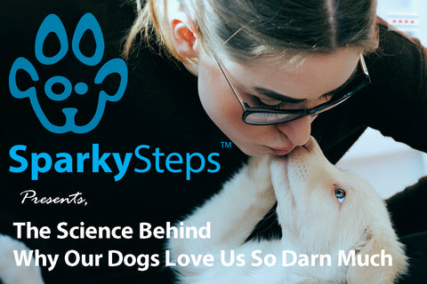 Sparky Steps - The Science Behind Why Our Dogs Love Us So Darn Much