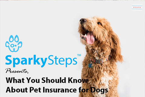 Sparky Steps - What You Should Know About Pet Insurance for Dogs