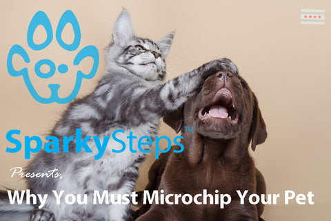 Sparky Steps - Why You Must Microchip Your Pet