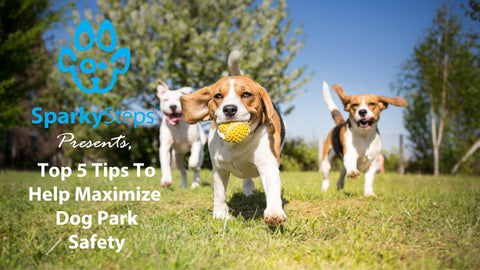 Sparky Steps - Top Five Tips to Help Maximize Dog Park Safety