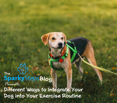 Sparky Steps - Different Ways to Integrate Your Dog into Your Exercise Routine