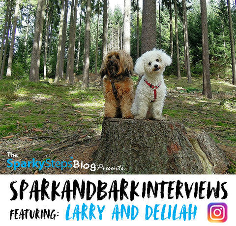Article - Larry and Delilah - Sparky Steps - SPARKandBARK INTERVIEWS.jpg