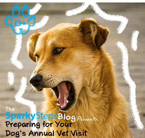 Sparky Steps - Preparing Your Dogs Annual Vet Visit