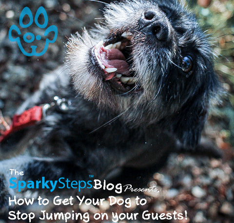 Sparky Steps - Get Your Dog to Stop Jumping on Your Guests