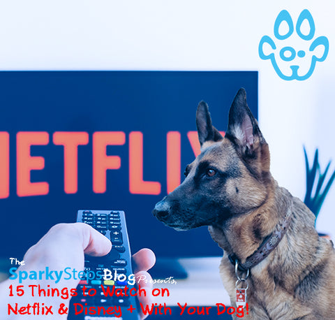 Sparky Steps - 15 Things to Watch on Netflix & Disney + With Your Dog