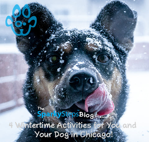 Sparky Steps - 4 Wintertime Activities for You and Your Dog in Chicago