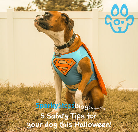 Sparky Steps - 5 Safety Tips for your dog this Halloween