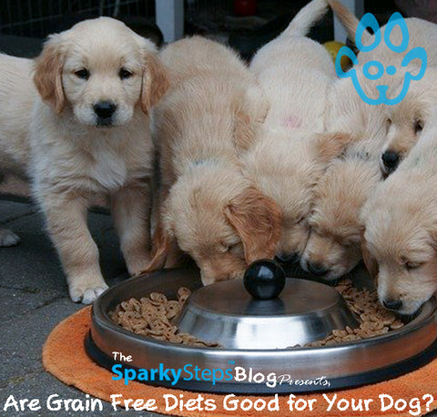 Sparky Steps - Are Grain Free Diets Good for Your Dog