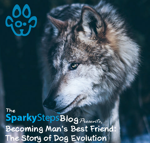 Sparky Steps - Becoming Man’s Best Friend The Story of Dog Evolution