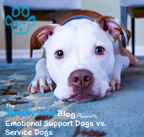 Sparky Steps - Emotional Support Dogs vs. Service Dogs