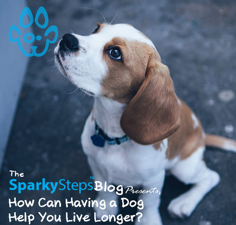 Sparky Steps - How can having a dog help you live longer