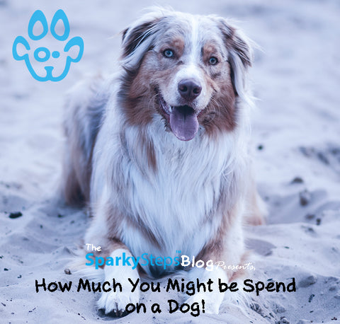 Sparky Steps - How Much You Might Spend on Owning a Dog?