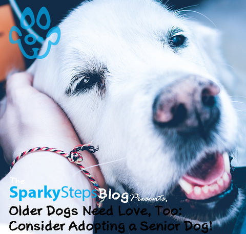 Sparky Steps - Older Dogs Need Love, Too - Consider Adopting a Senior Dog