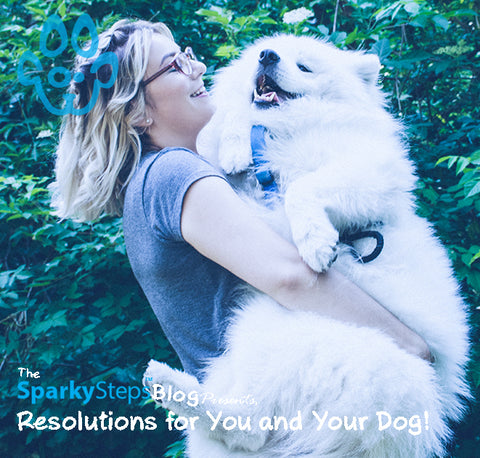 Sparky Steps - Goals and Resolutions for You and Your Dog