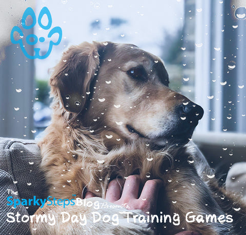 Sparky Steps - Stormy Day Dog Training Games