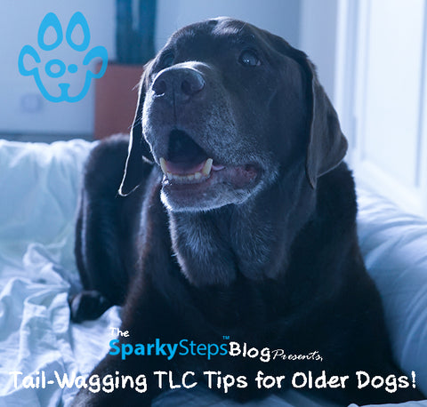 Sparky Steps - Tail-Wagging TLC Tips for Older Dogs