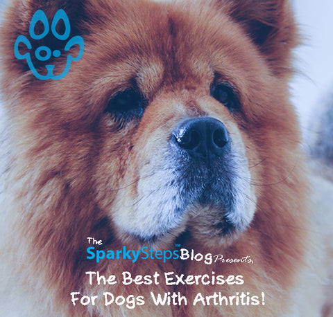 Sparky Steps - The Best Exercises For Dogs With Arthritis