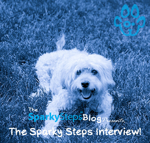 Sparky Steps - The Sparky Steps Interview